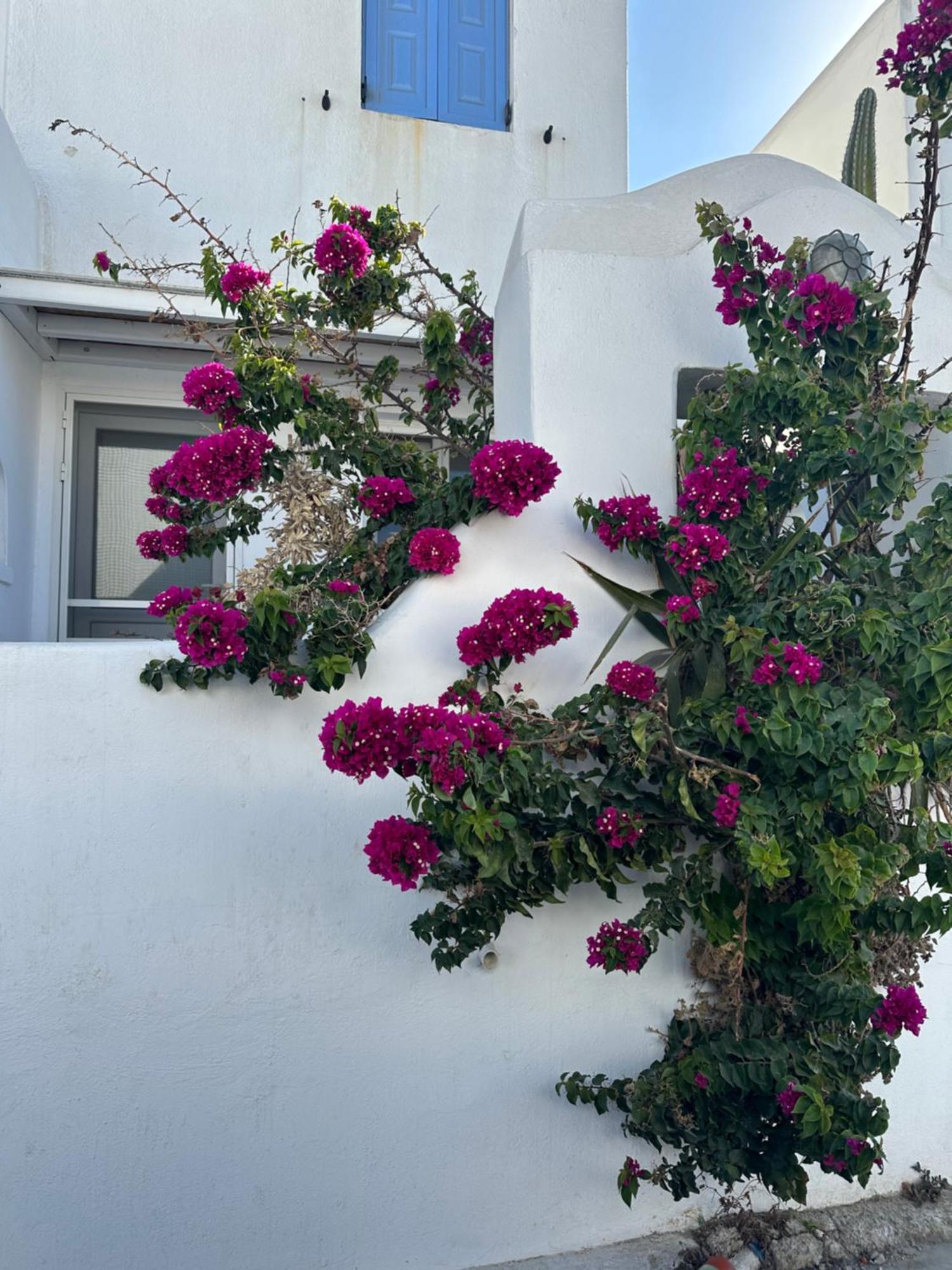 Vila Casaornos Exteriér fotografie